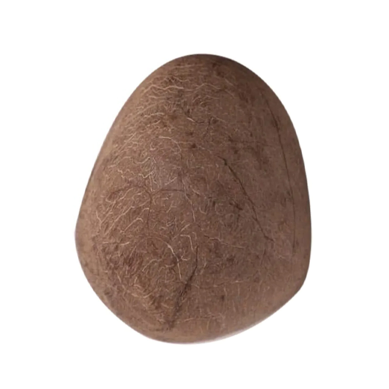 Whole Dry Coconut